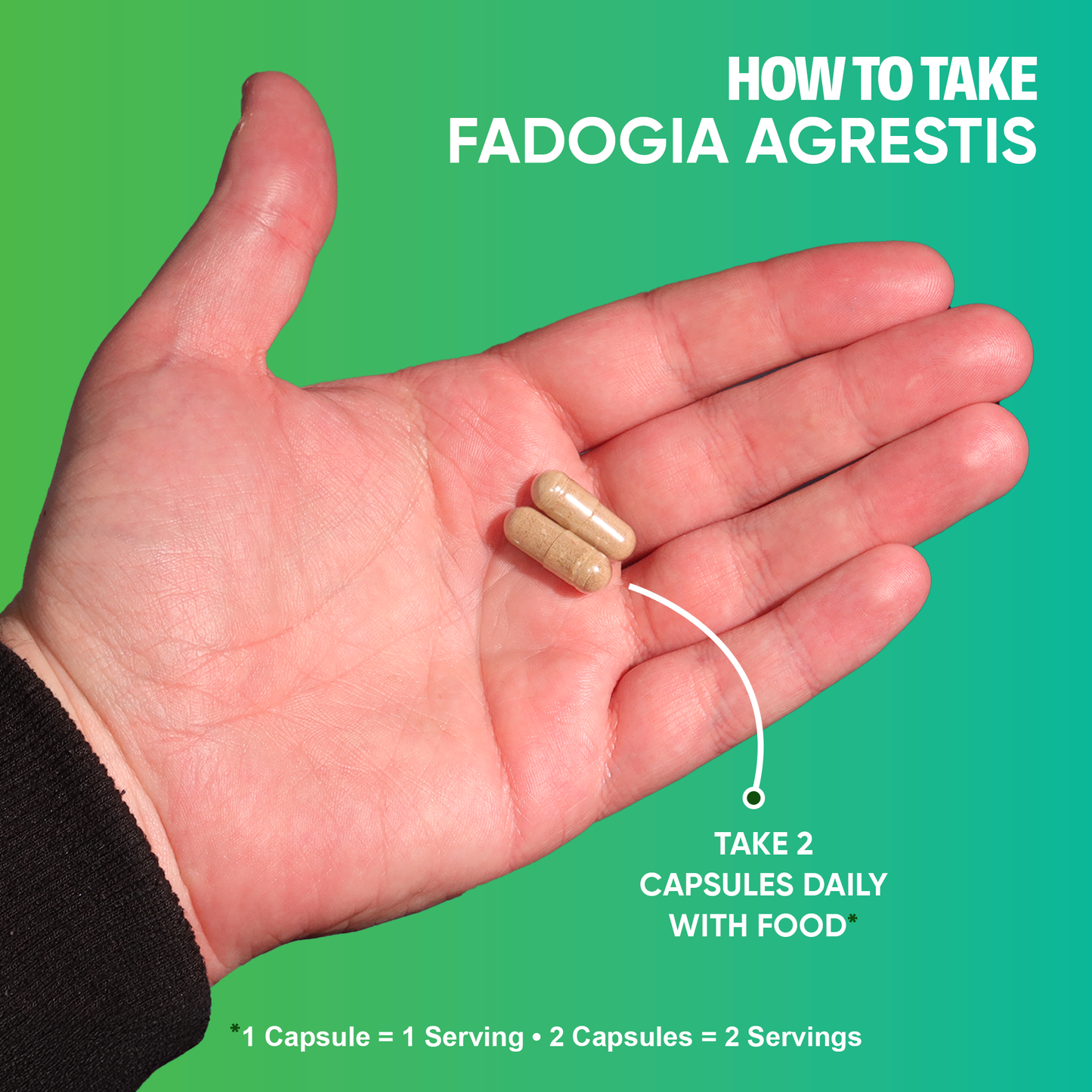 Fadogia Agrestis
