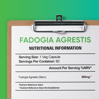 Fadogia Agrestis